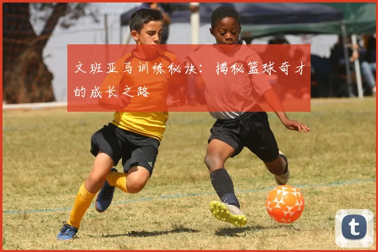 文班亚马训练秘诀:揭秘篮球奇才的成长之路
